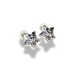 silver star earrings